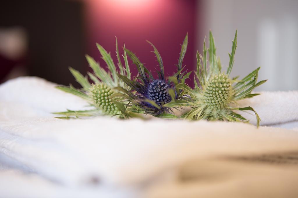 The Spires Serviced Apartments Edinburg Rum bild